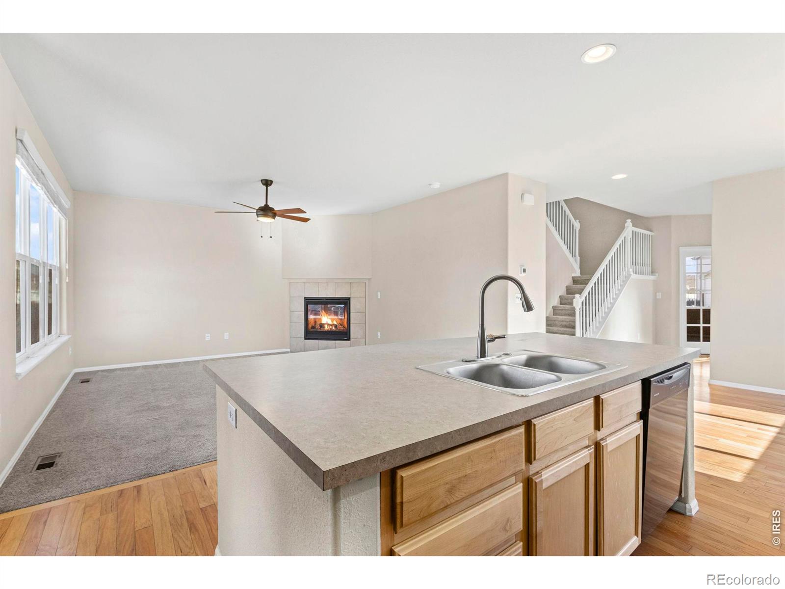 431 Ptarmigan Street Severance CO 80550