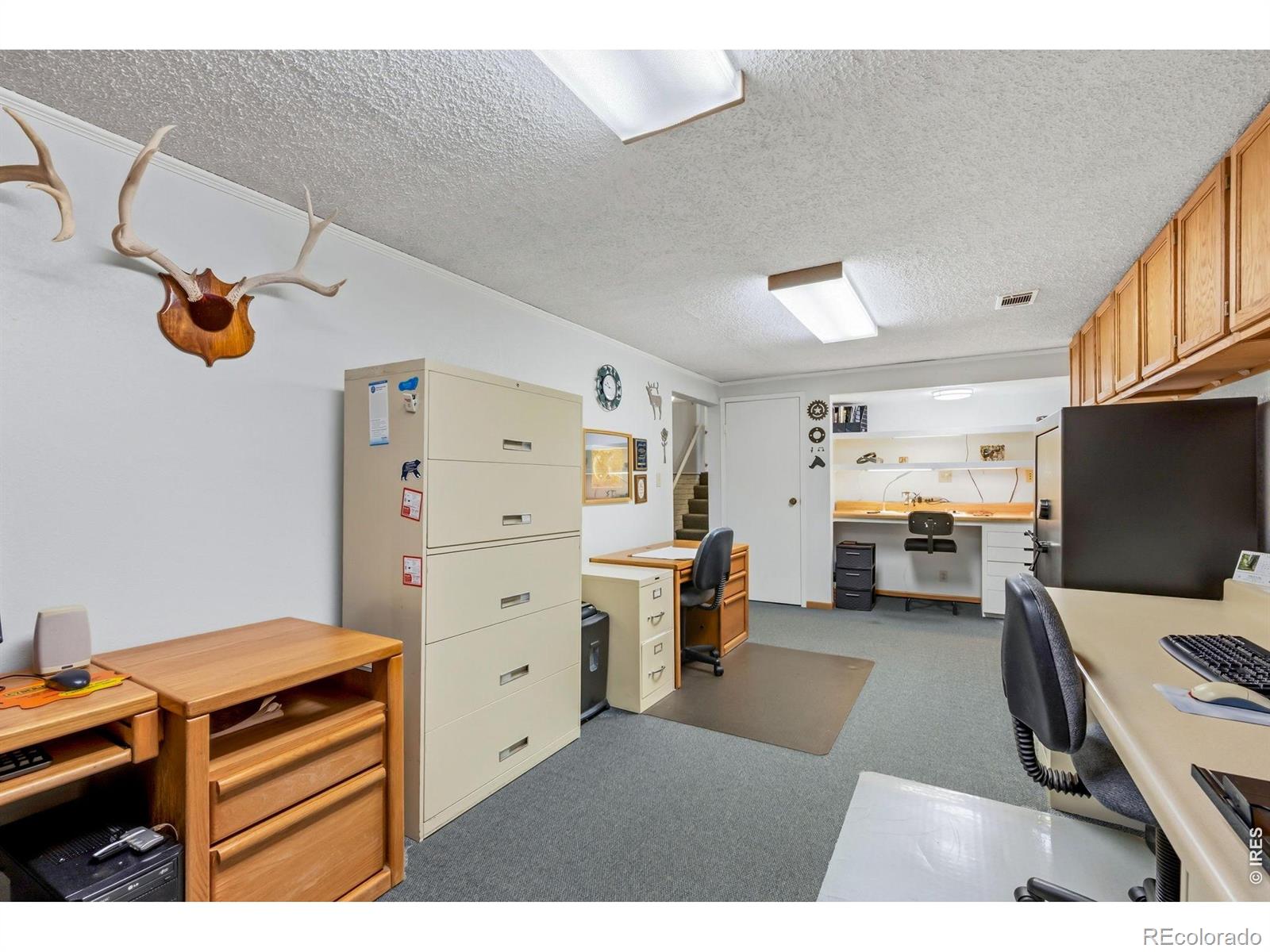 605 Jack Pine Place Loveland CO 80538