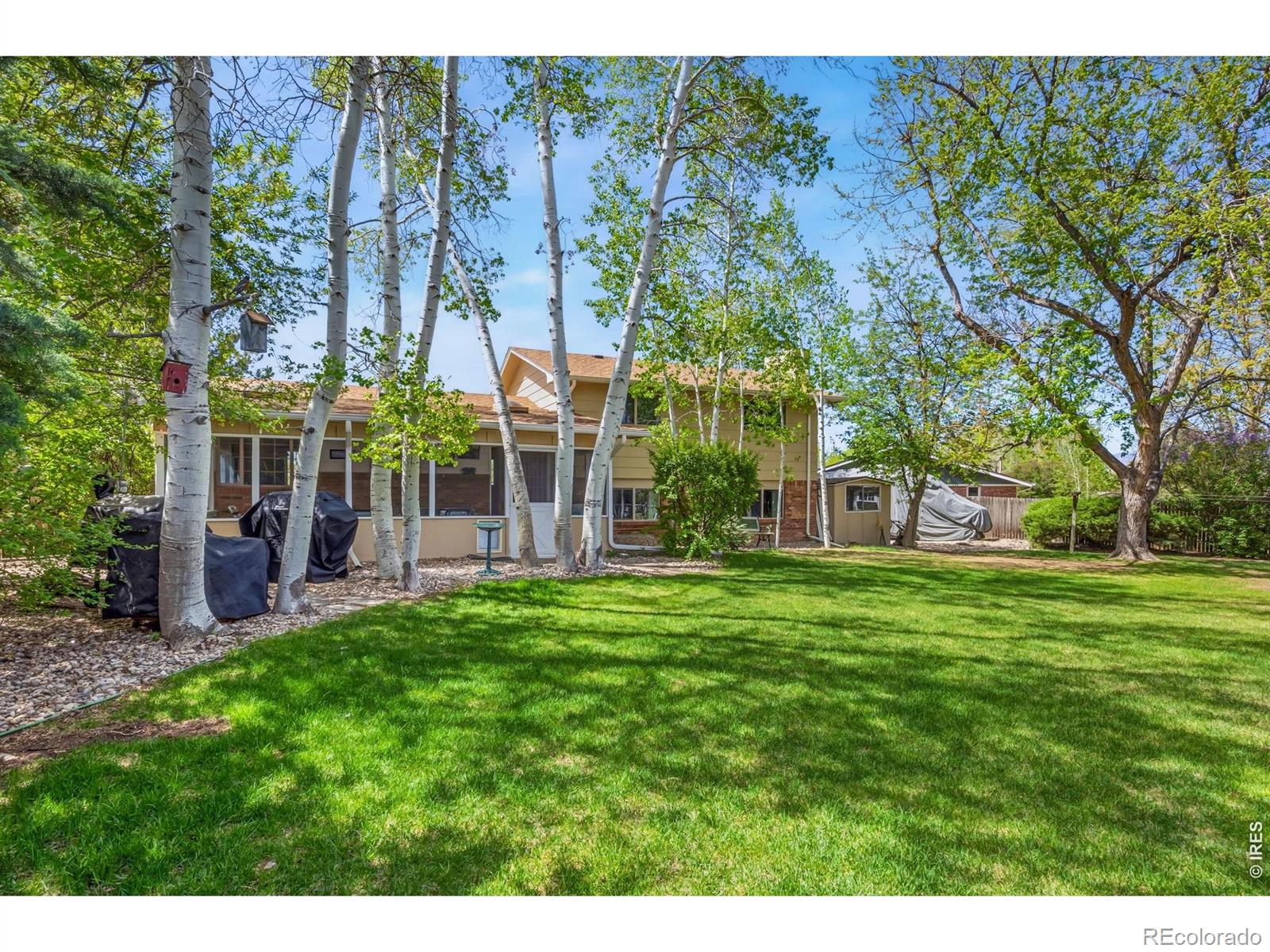 605 Jack Pine Place Loveland CO 80538
