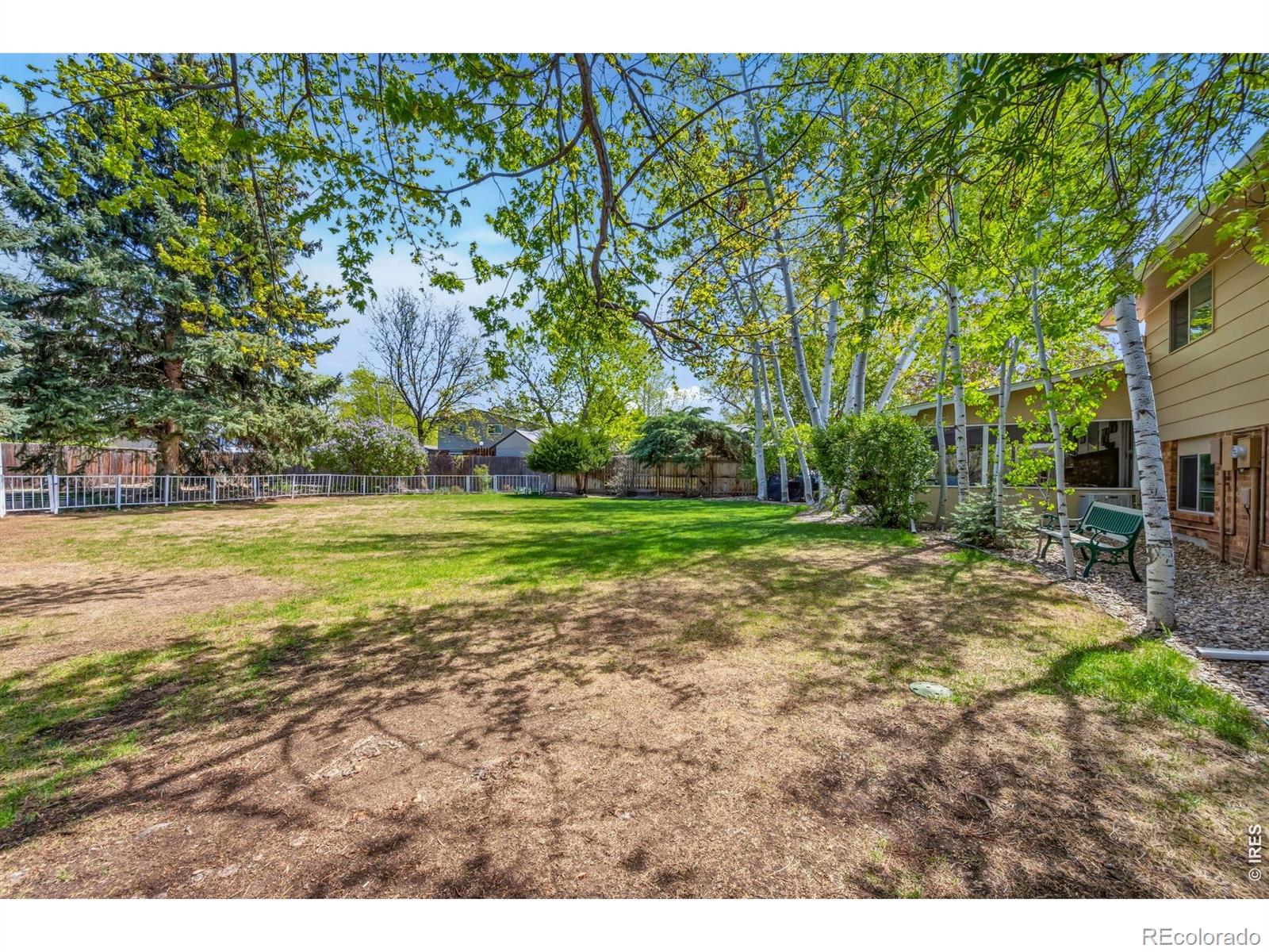 605 Jack Pine Place Loveland CO 80538