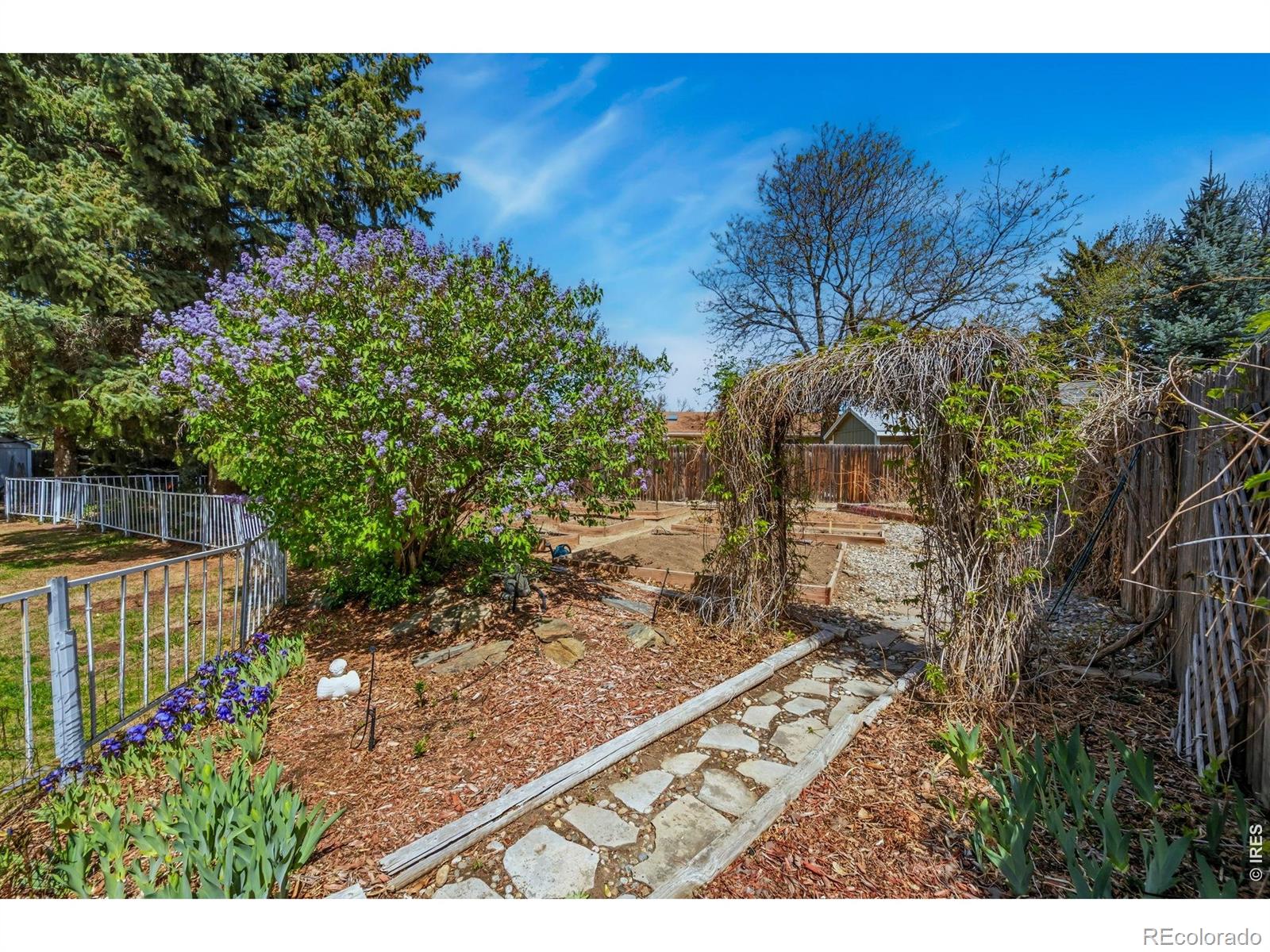 605 Jack Pine Place Loveland CO 80538