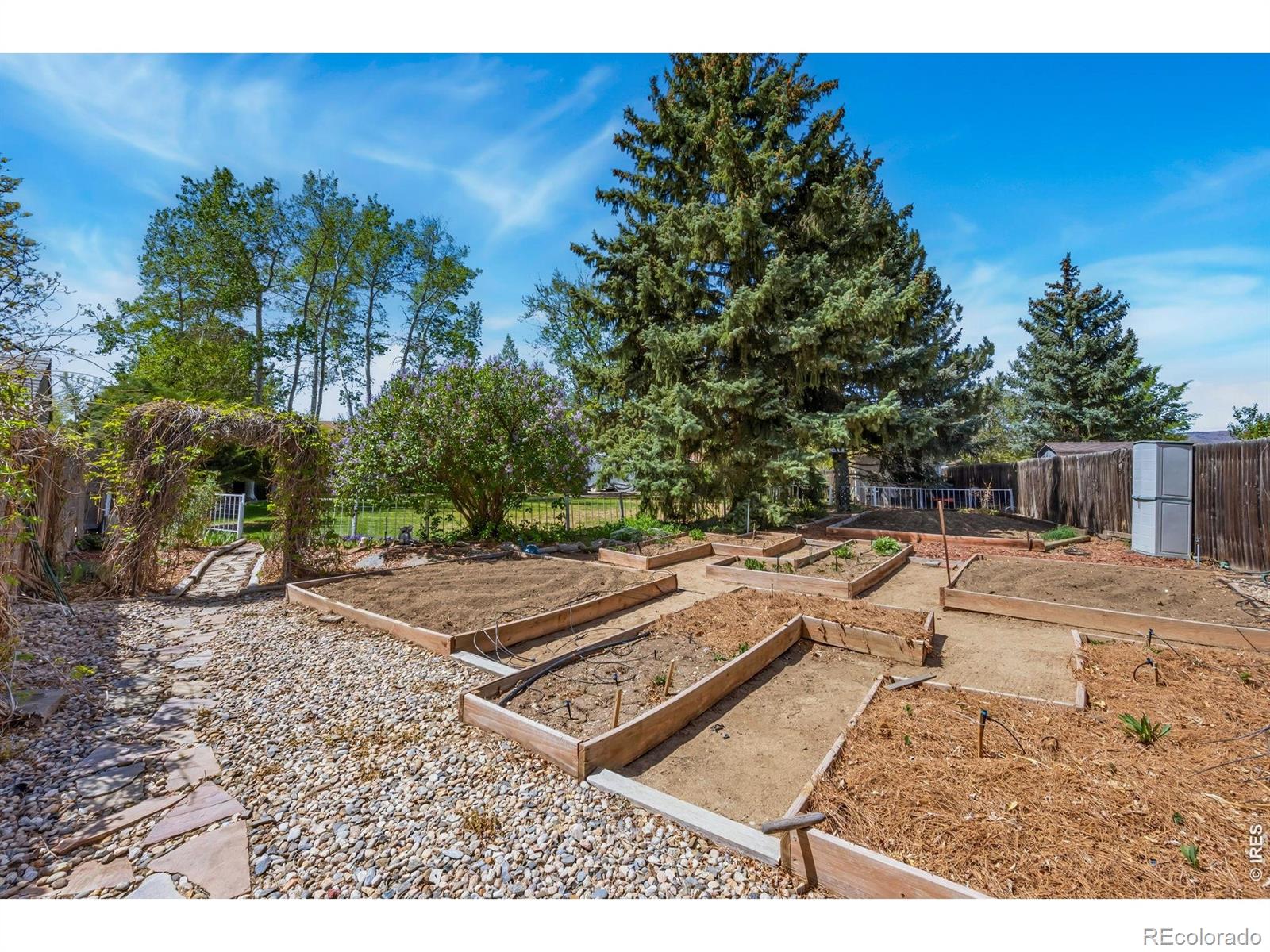 605 Jack Pine Place Loveland CO 80538