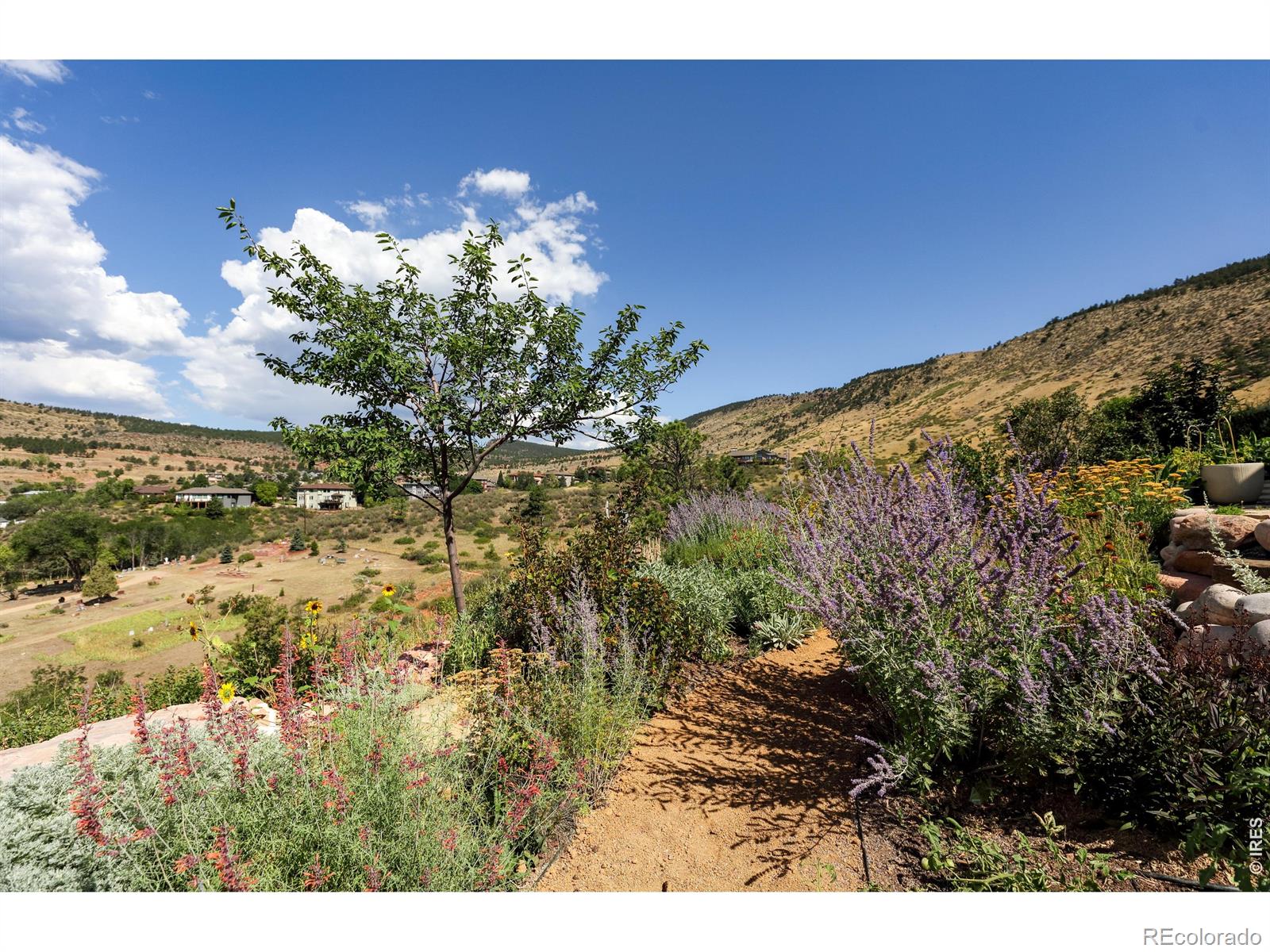 125 Longs Peak Drive Lyons CO 80540