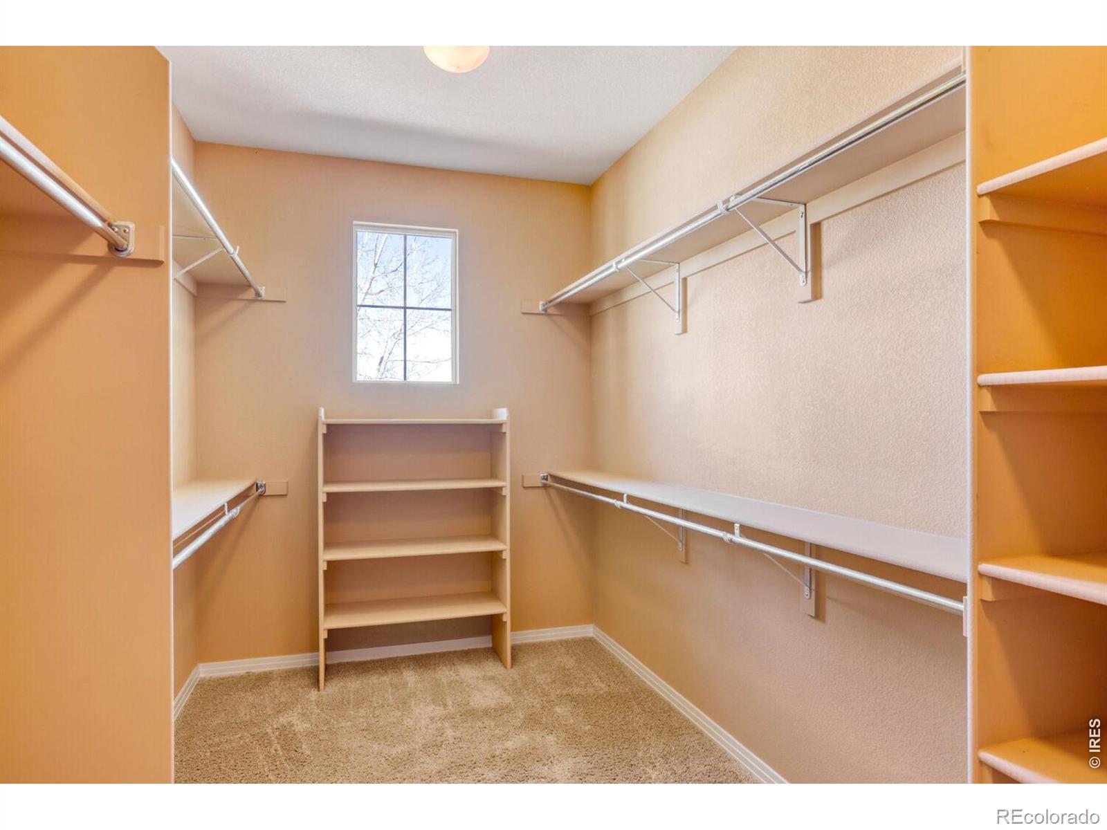 527 Deerwood Drive Longmont CO 80504