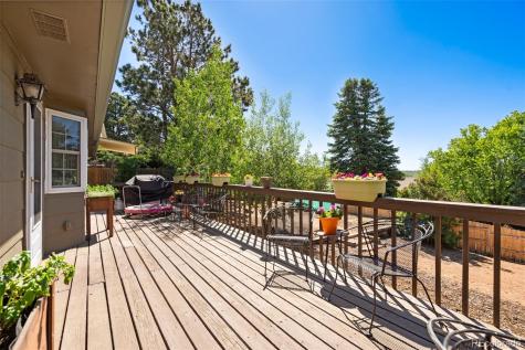 45 Gold Coin Court Colorado Springs CO 80919