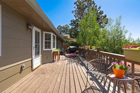 45 Gold Coin Court Colorado Springs CO 80919