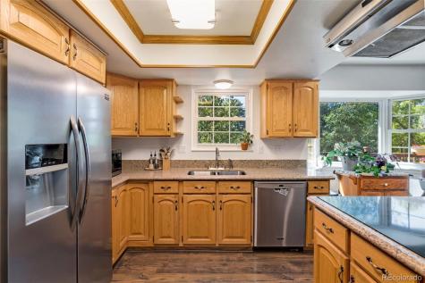 45 Gold Coin Court Colorado Springs CO 80919