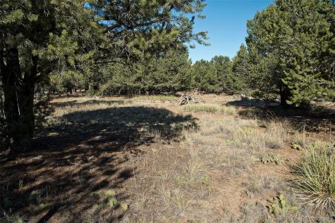 2077 Medicine Bow Overlook Crestone CO 81131