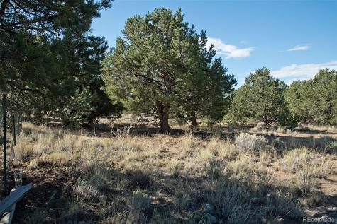 2077 Medicine Bow Overlook Crestone CO 81131