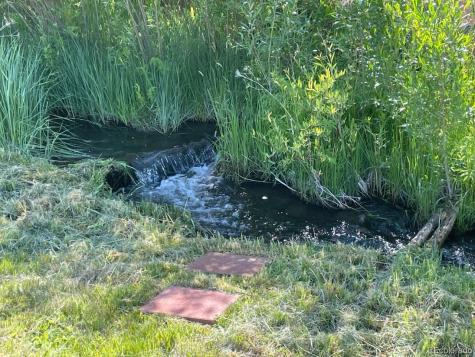 11398 County Road 302 Buena Vista CO 81211