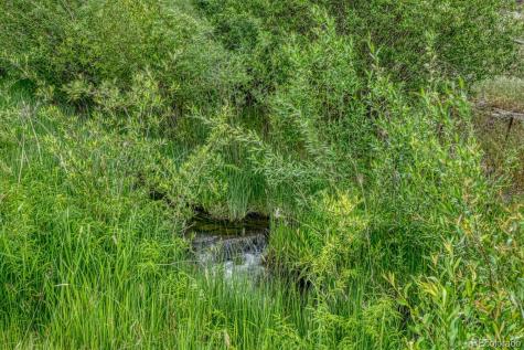 11398 County Road 302 Buena Vista CO 81211