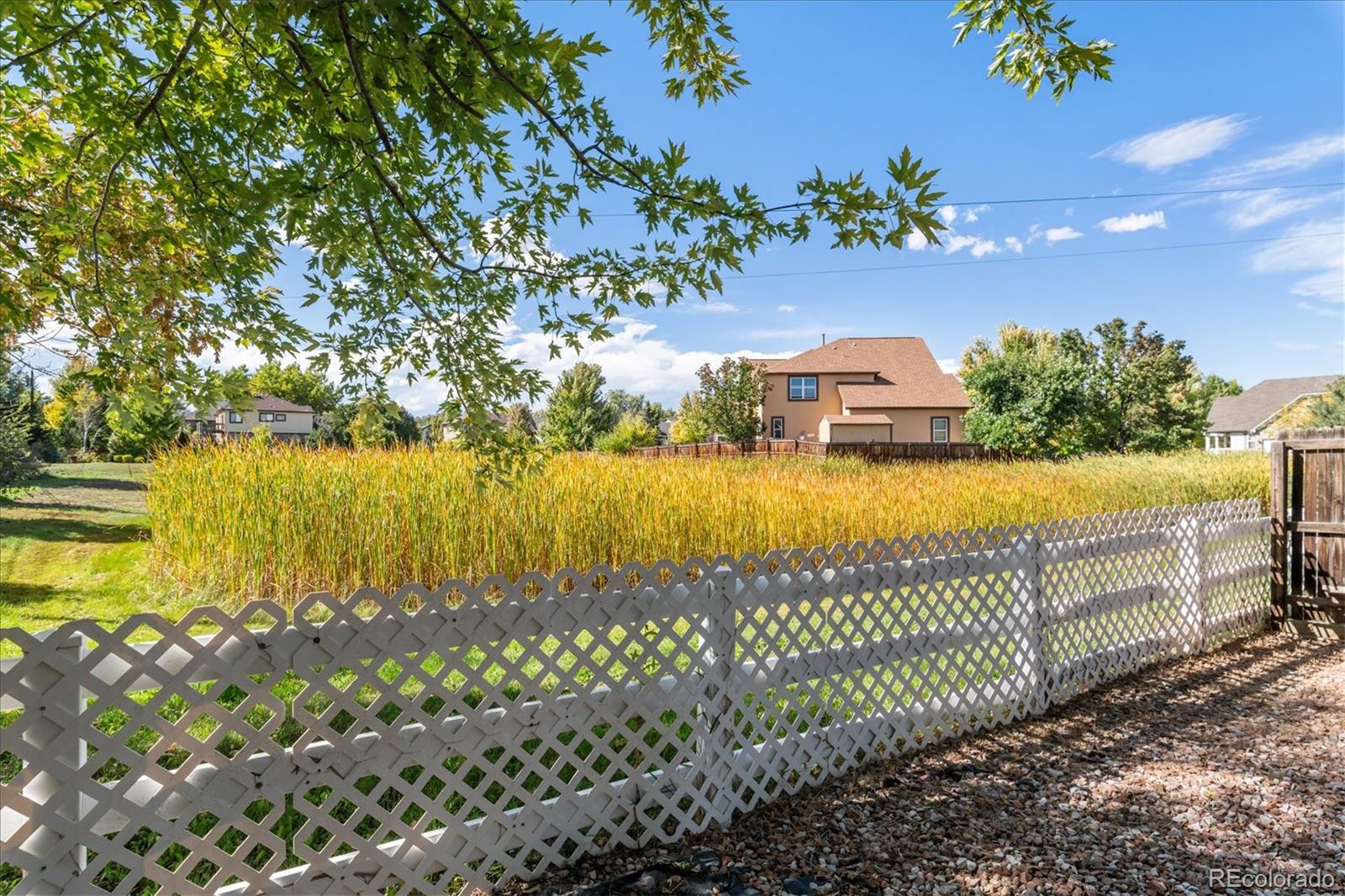1279 S Allison Street Lakewood CO 80232
