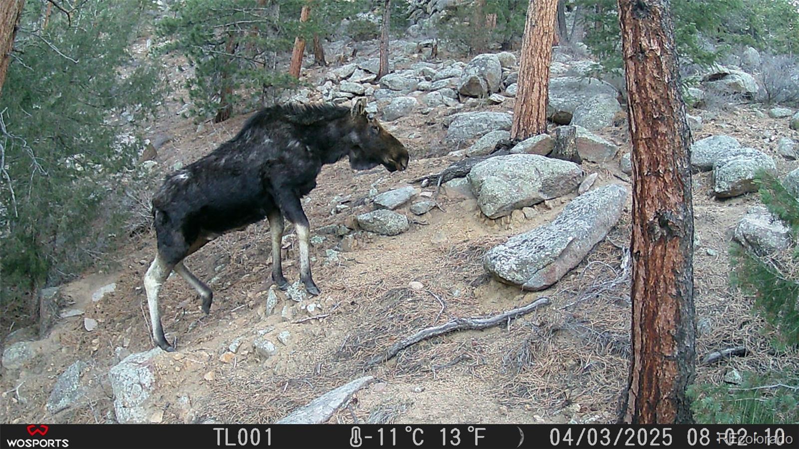 21005 State Highway 7 Lyons CO 80540