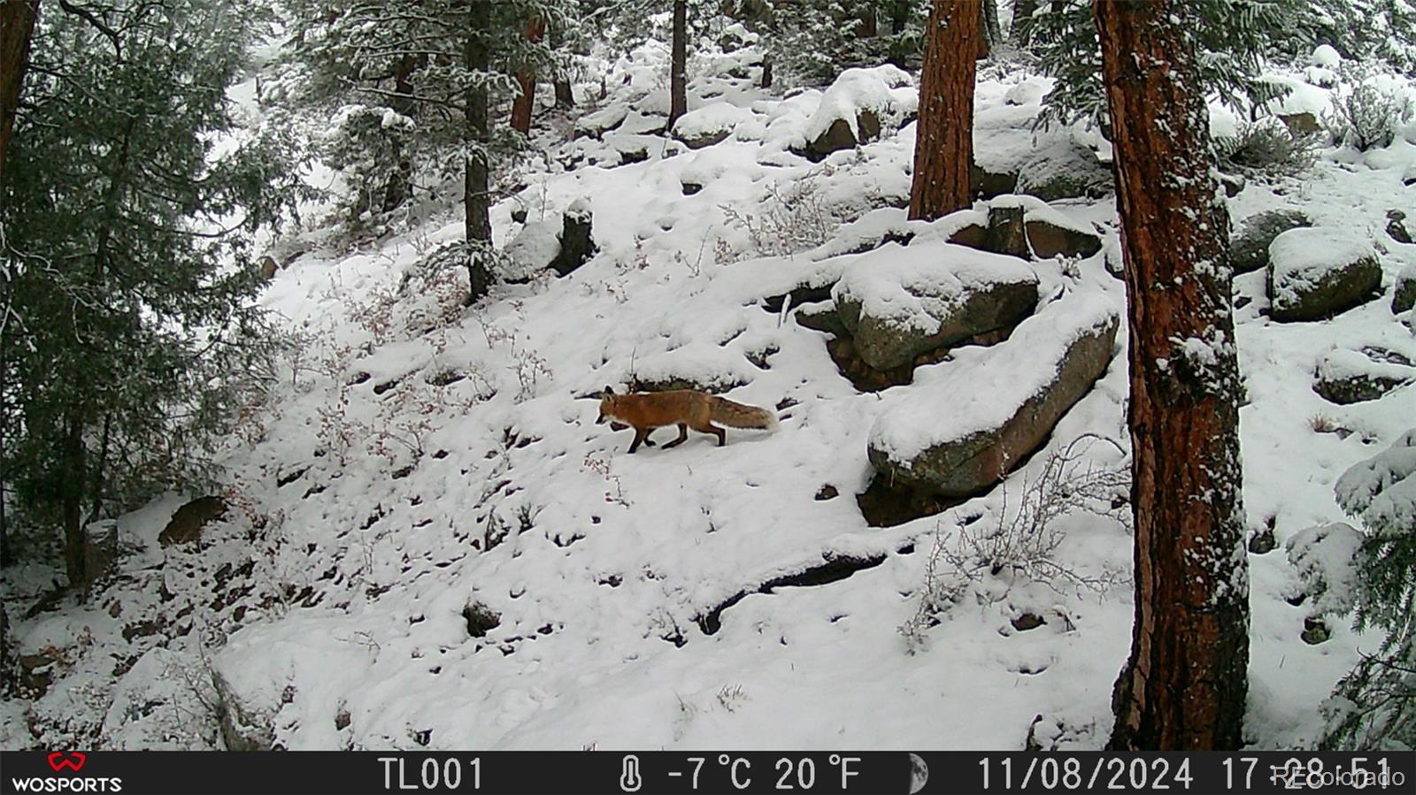 21005 State Highway 7 Lyons CO 80540