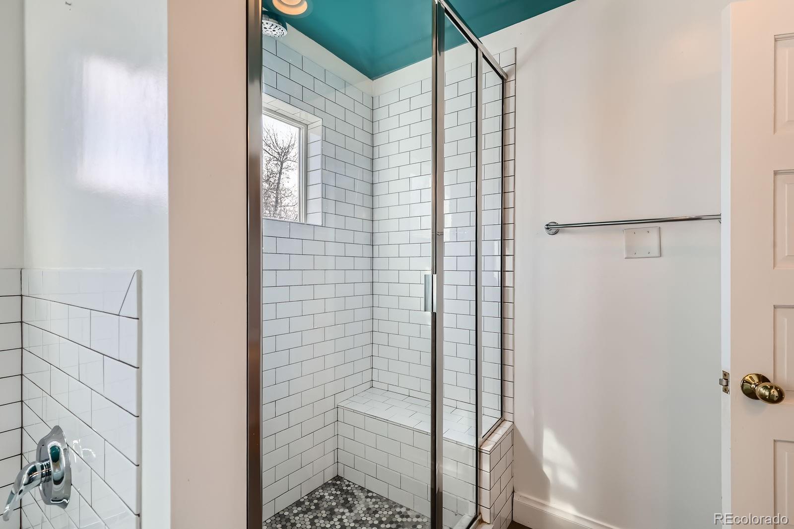 1006 S Emerson Street Denver CO 80209