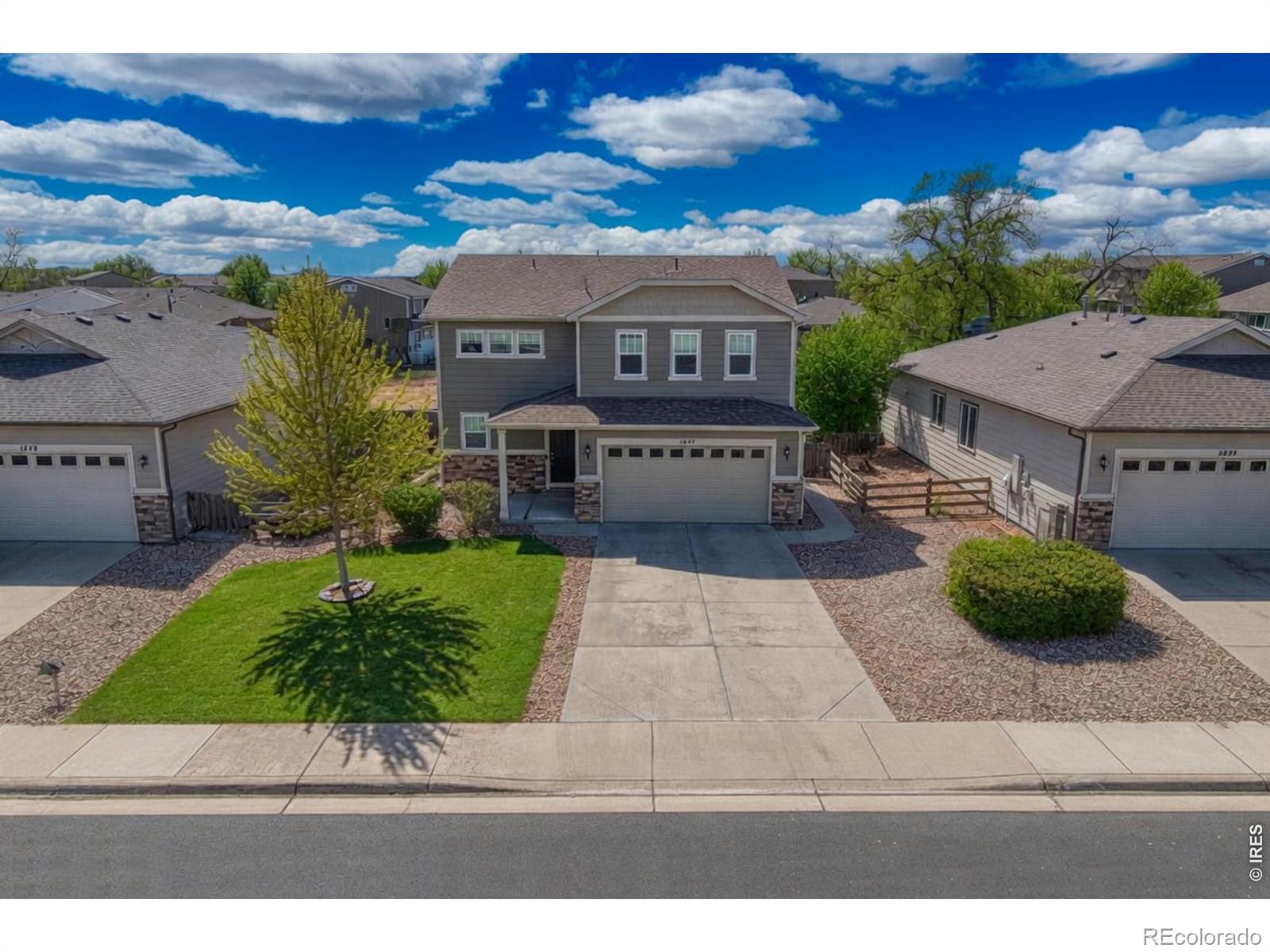 1647 Stoll Drive Windsor CO 80550