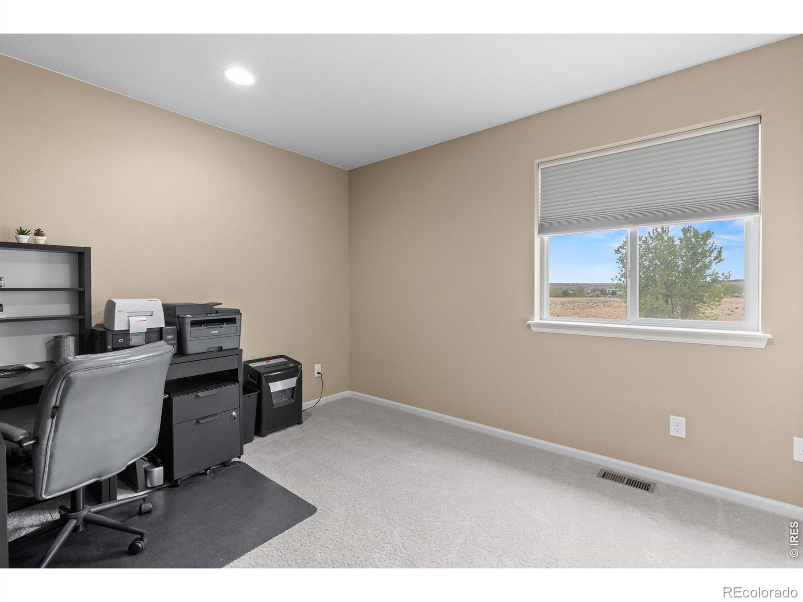 1647 Stoll Drive Windsor CO 80550