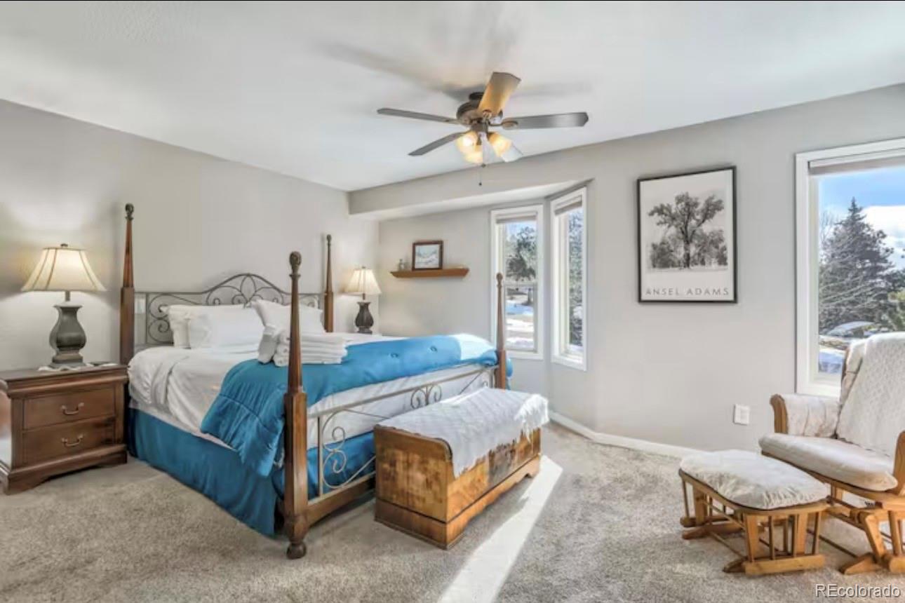 310 Tam O Shanter Way Monument CO 80132