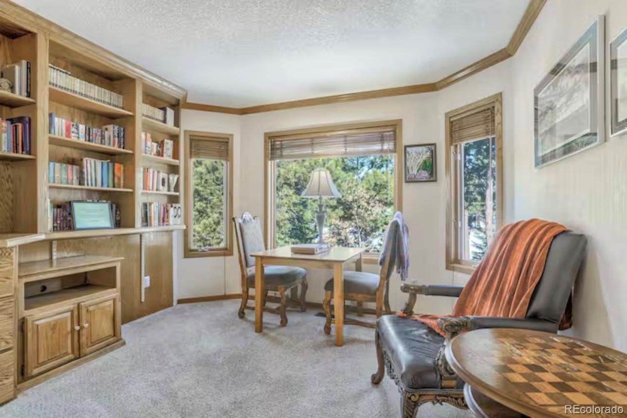 310 Tam O Shanter Way Monument CO 80132