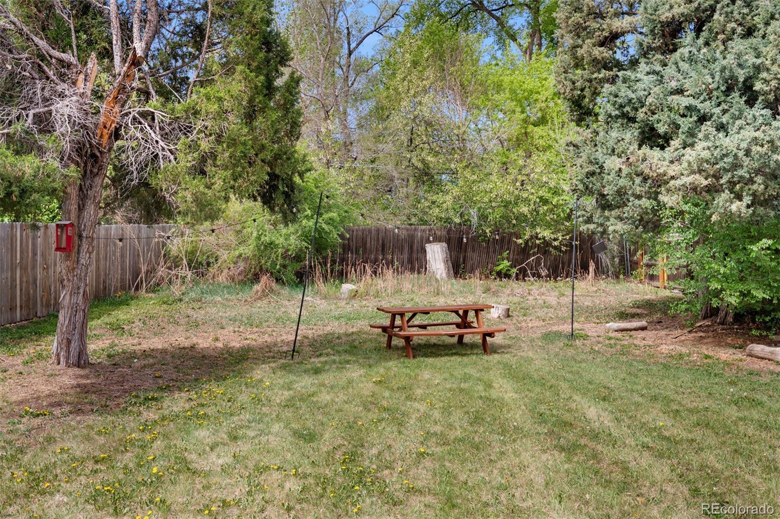 1095 Carr Street Lakewood CO 80214