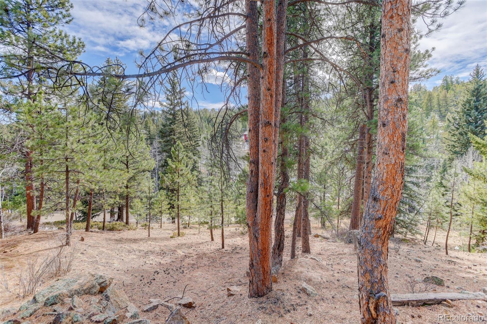 6346 King Road Evergreen CO 80439