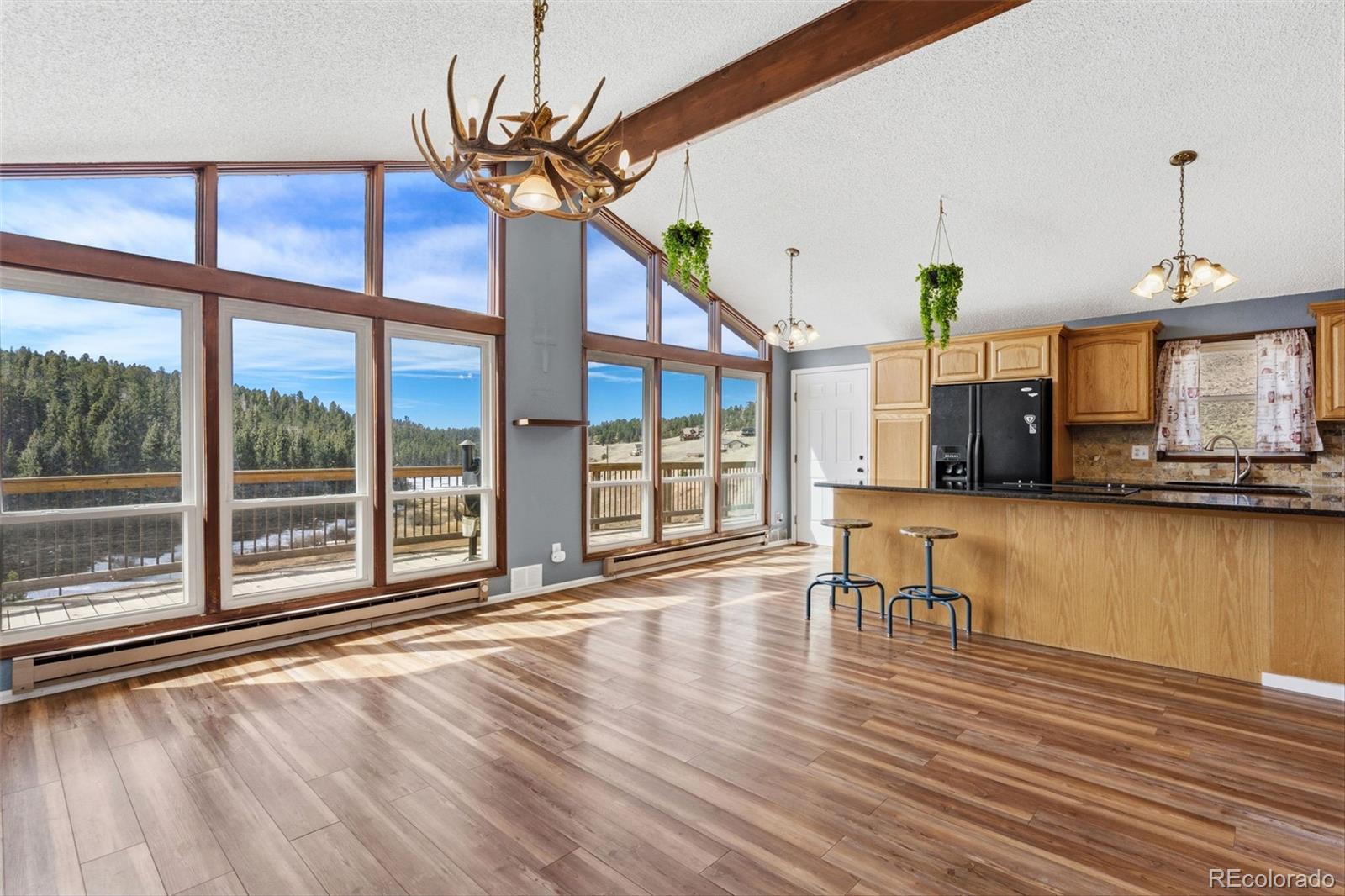 178 Cottonwood Lake Drive Divide CO 80814