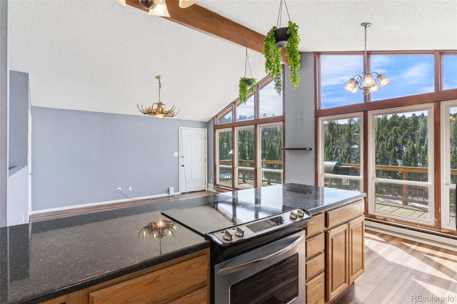 178 Cottonwood Lake Drive Divide CO 80814