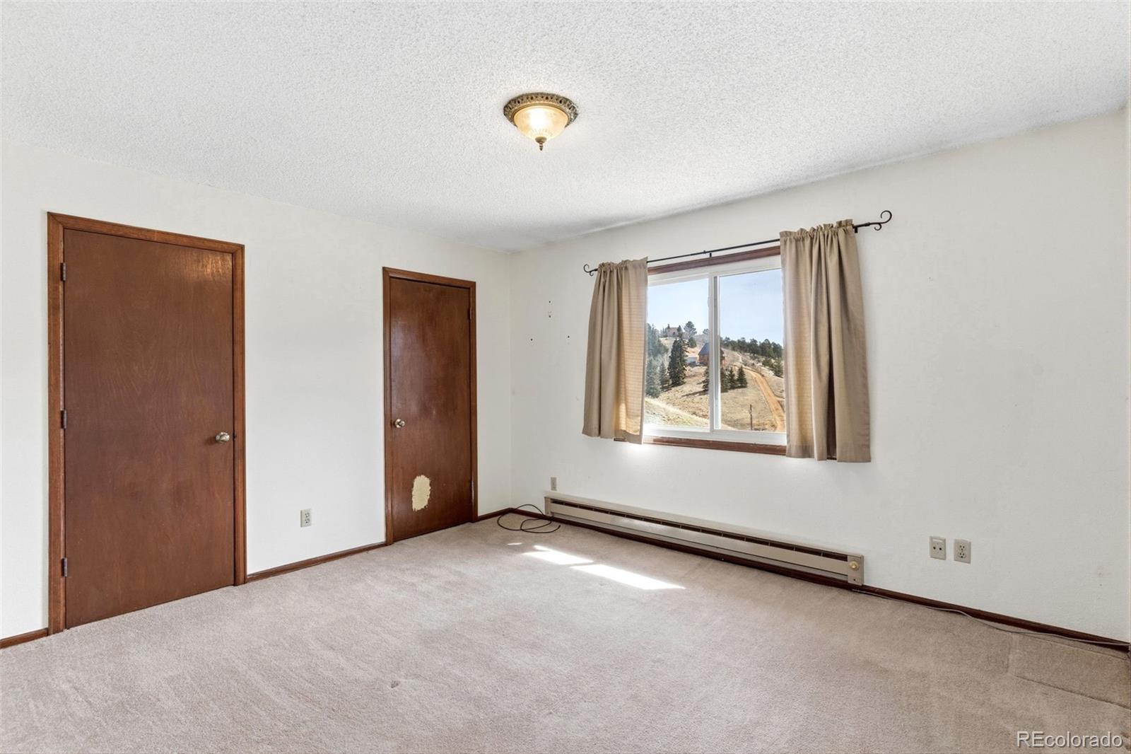 178 Cottonwood Lake Drive Divide CO 80814