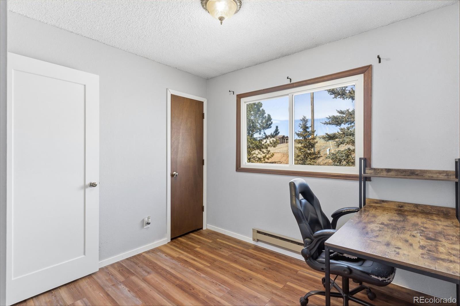 178 Cottonwood Lake Drive Divide CO 80814