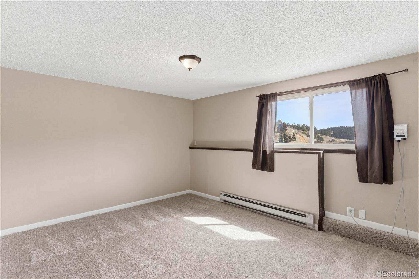 178 Cottonwood Lake Drive Divide CO 80814
