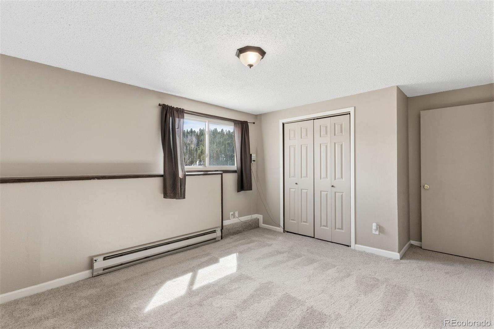 178 Cottonwood Lake Drive Divide CO 80814