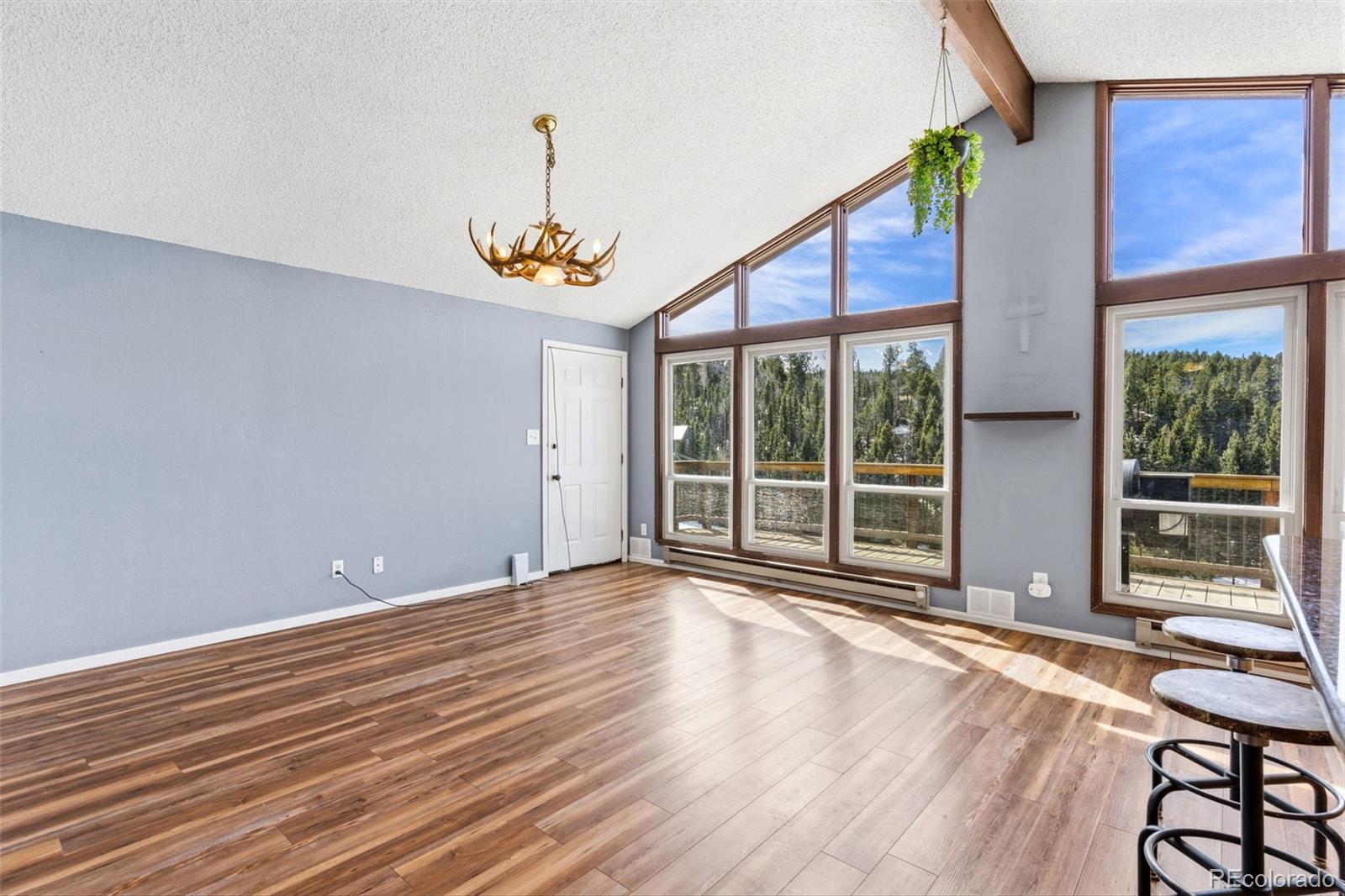 178 Cottonwood Lake Drive Divide CO 80814
