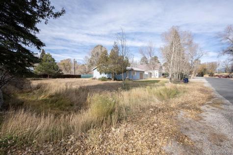 212 N Gunnison Avenue Buena Vista CO 81211
