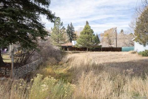 212 N Gunnison Avenue Buena Vista CO 81211