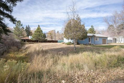 212 N Gunnison Avenue Buena Vista CO 81211