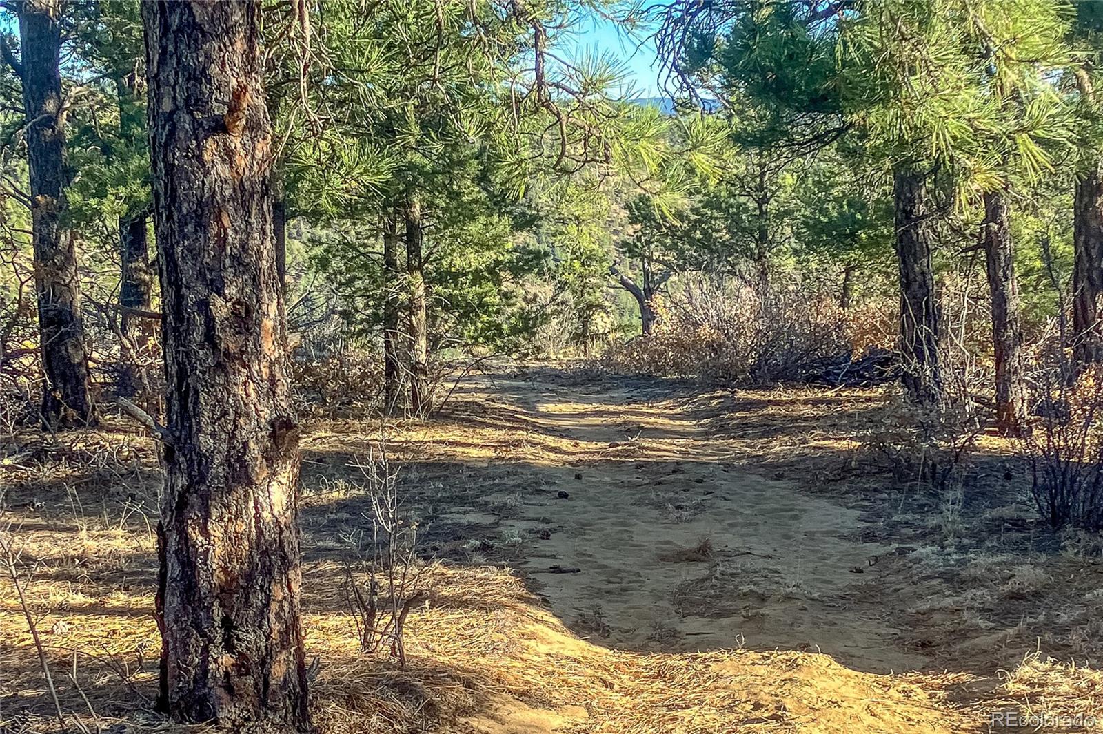 13240 Big Pine Ridge Road Weston CO 81091