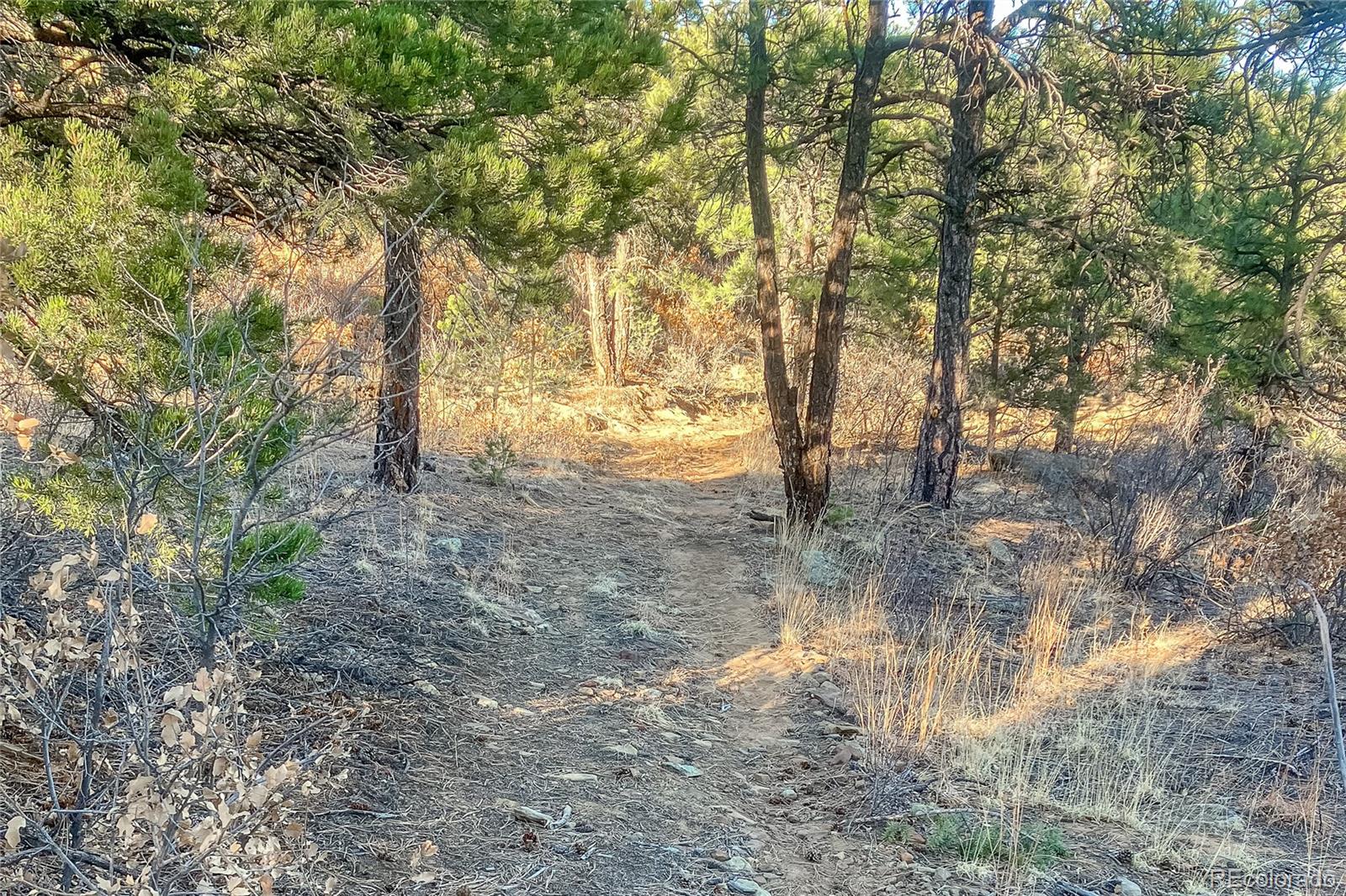13240 Big Pine Ridge Road Weston CO 81091