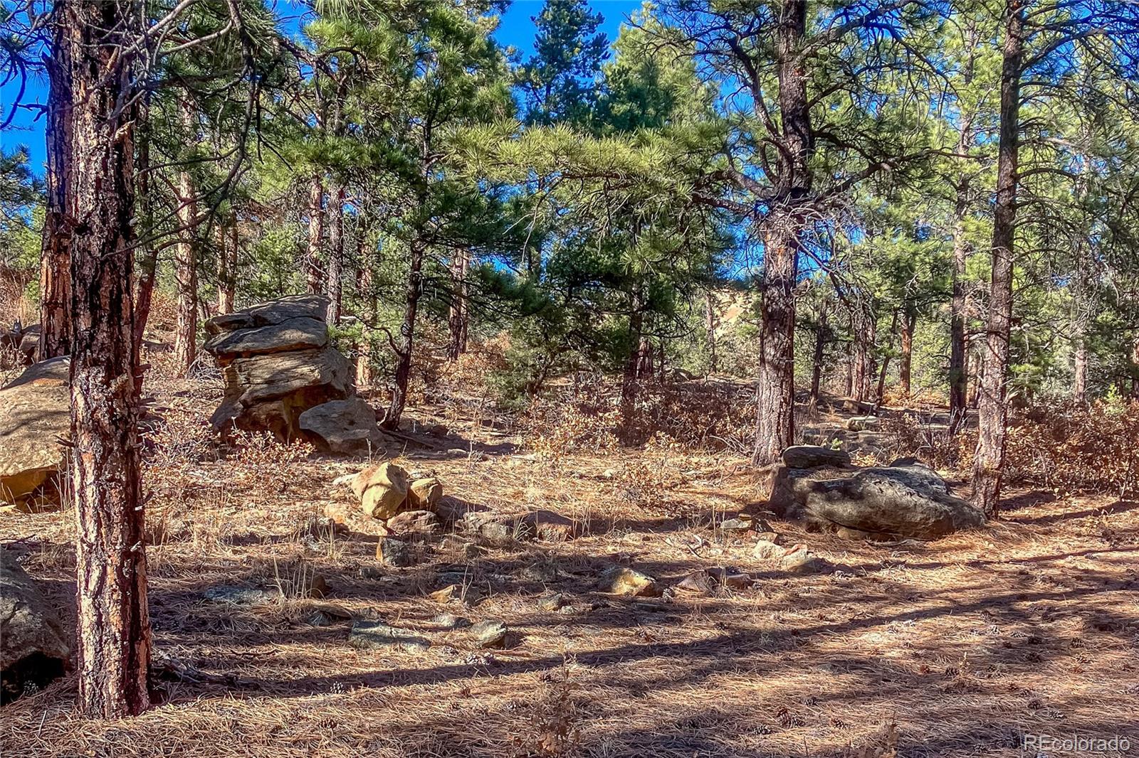 13240 Big Pine Ridge Road Weston CO 81091