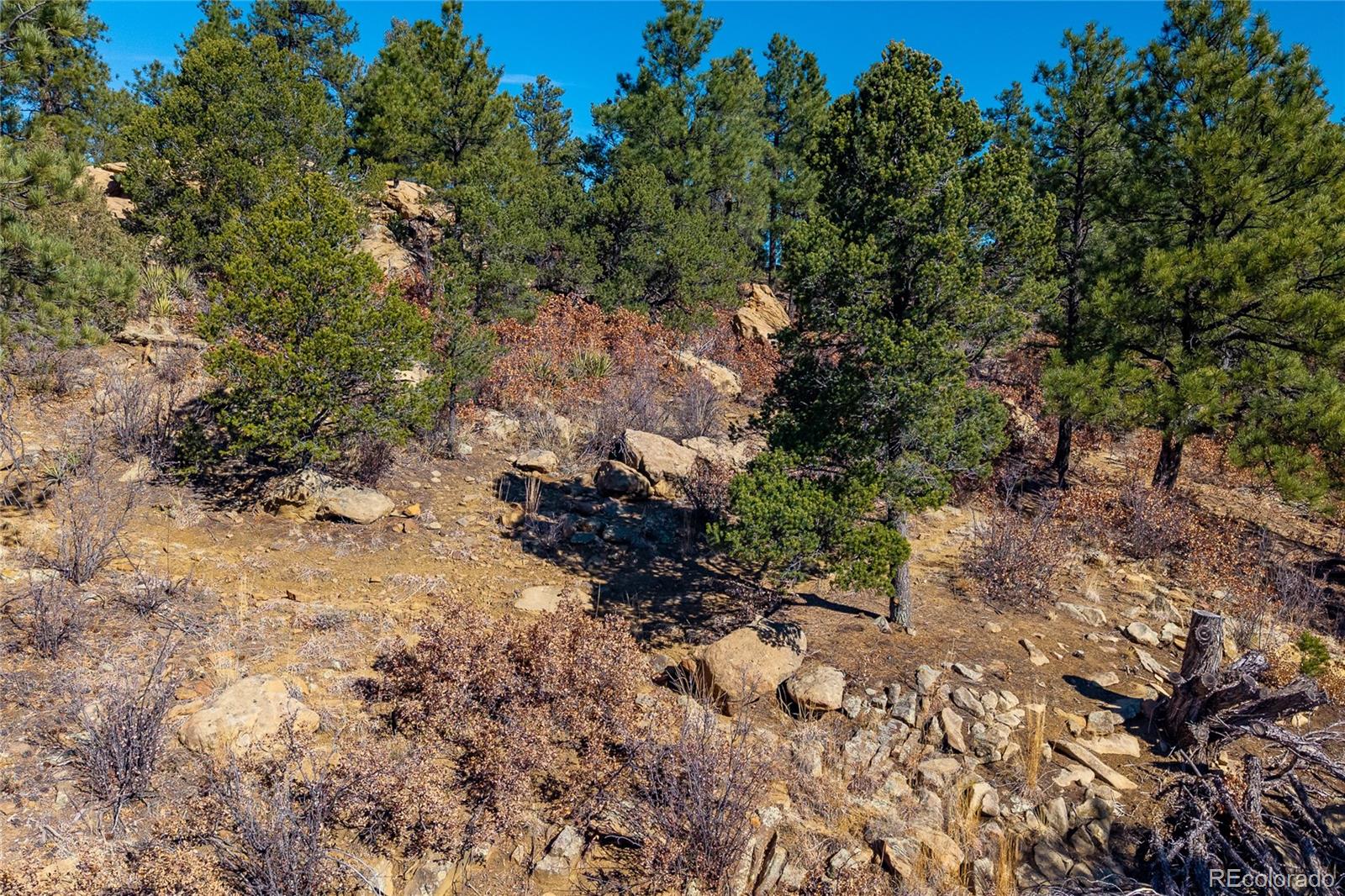 13240 Big Pine Ridge Road Weston CO 81091