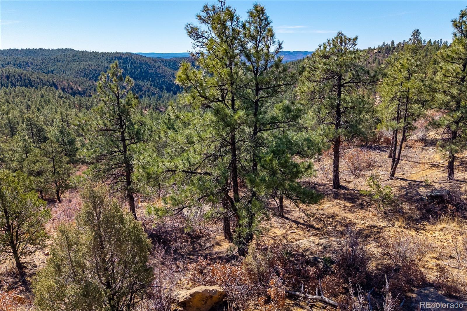 13240 Big Pine Ridge Road Weston CO 81091