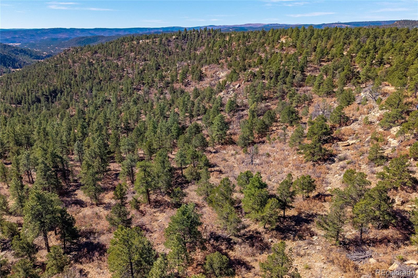 13240 Big Pine Ridge Road Weston CO 81091