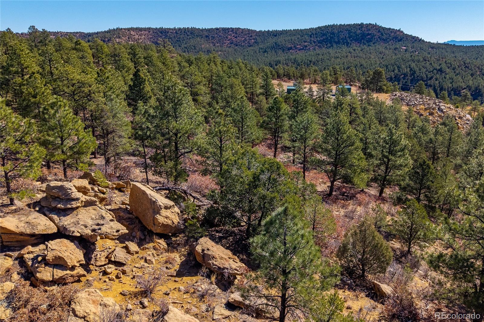 13240 Big Pine Ridge Road Weston CO 81091