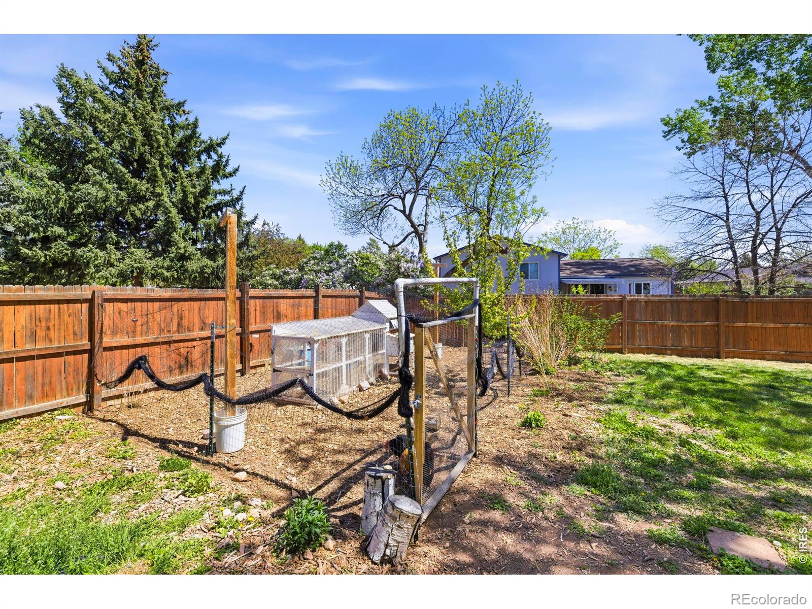 3212 Sam Houston Circle Fort Collins CO 80526