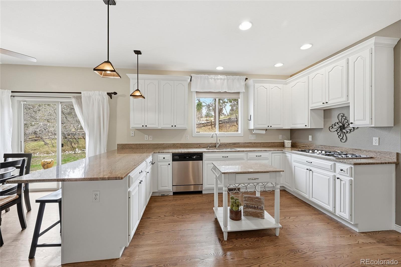 5822 Irish Pat Murphy Drive Parker CO 80134