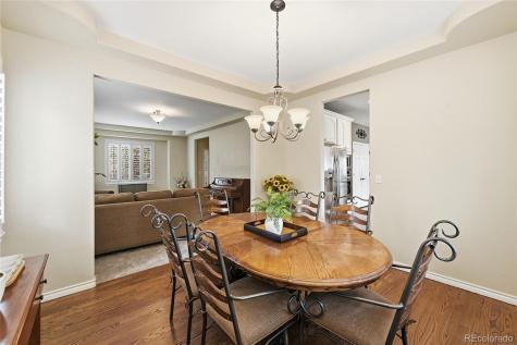 5822 Irish Pat Murphy Drive Parker CO 80134