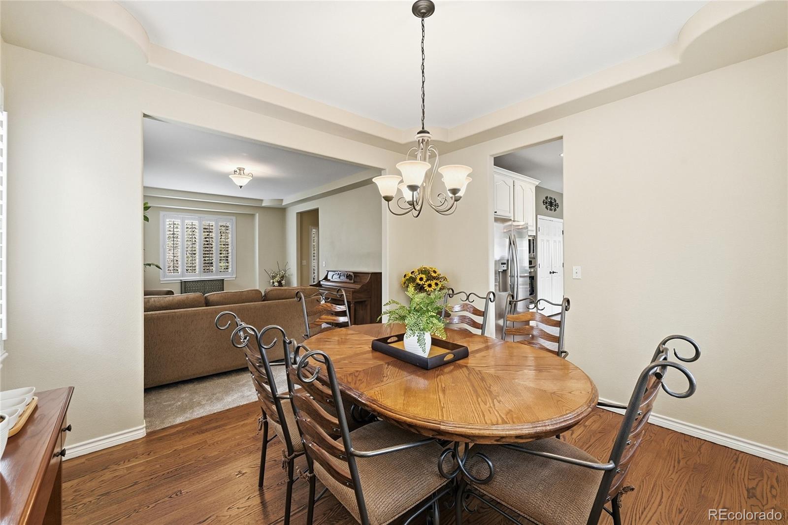5822 Irish Pat Murphy Drive Parker CO 80134