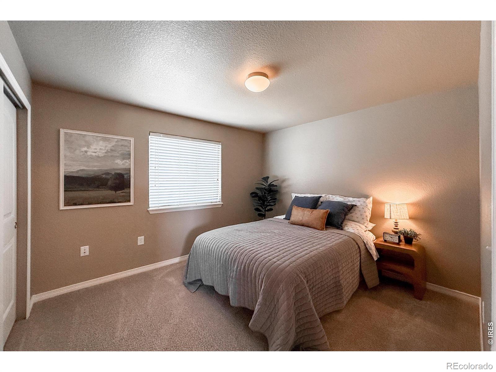 2158 Lamborn Court Berthoud CO 80513