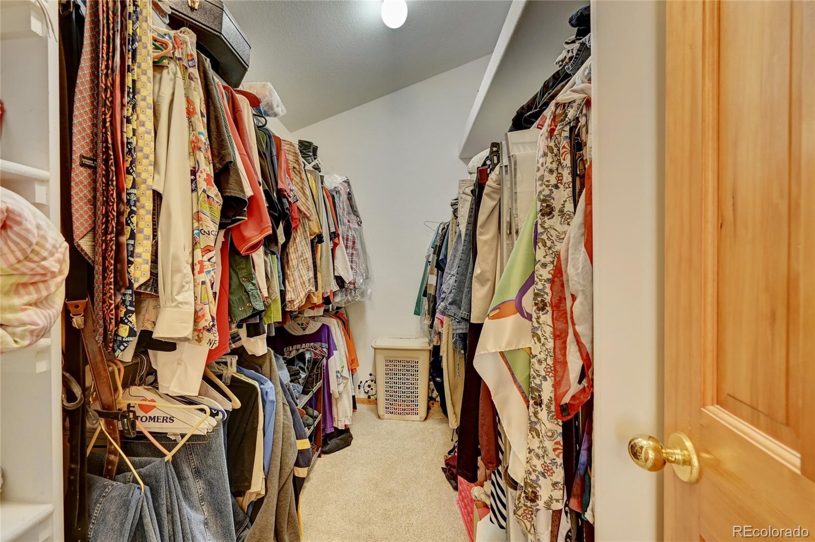 8453 Bed Straw Street Parker CO 80134