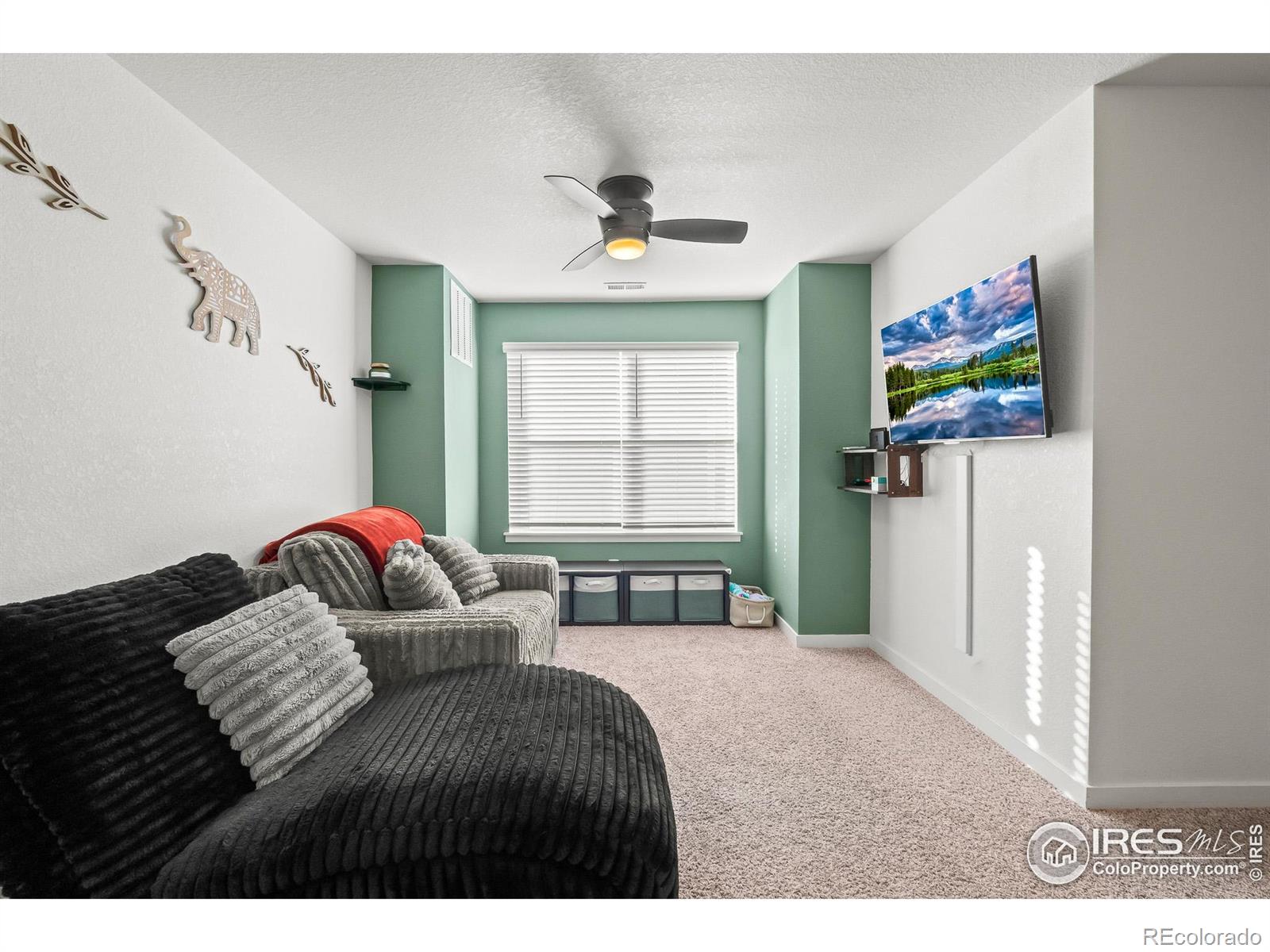1255 Baker Pass Street Severance CO 80550