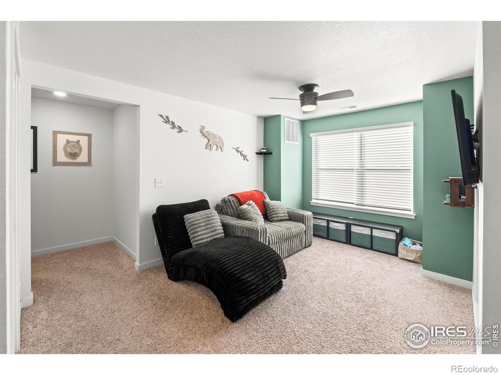 1255 Baker Pass Street Severance CO 80550